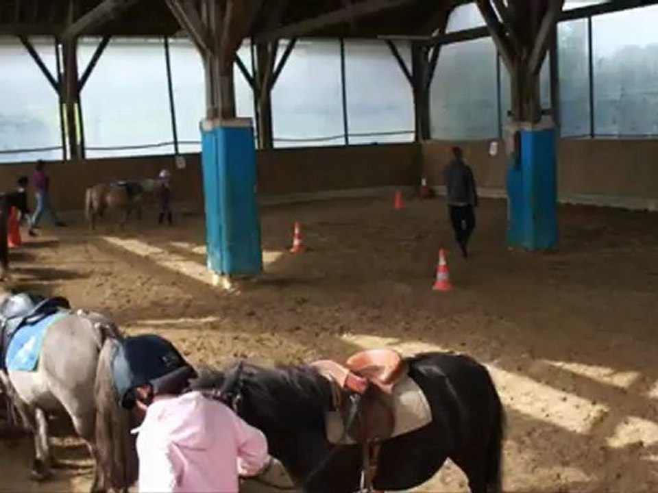 Lecon 2 : On maitrise son poney