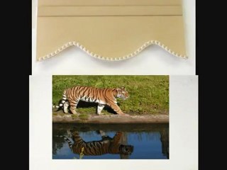 where to buy blinds online (UK)