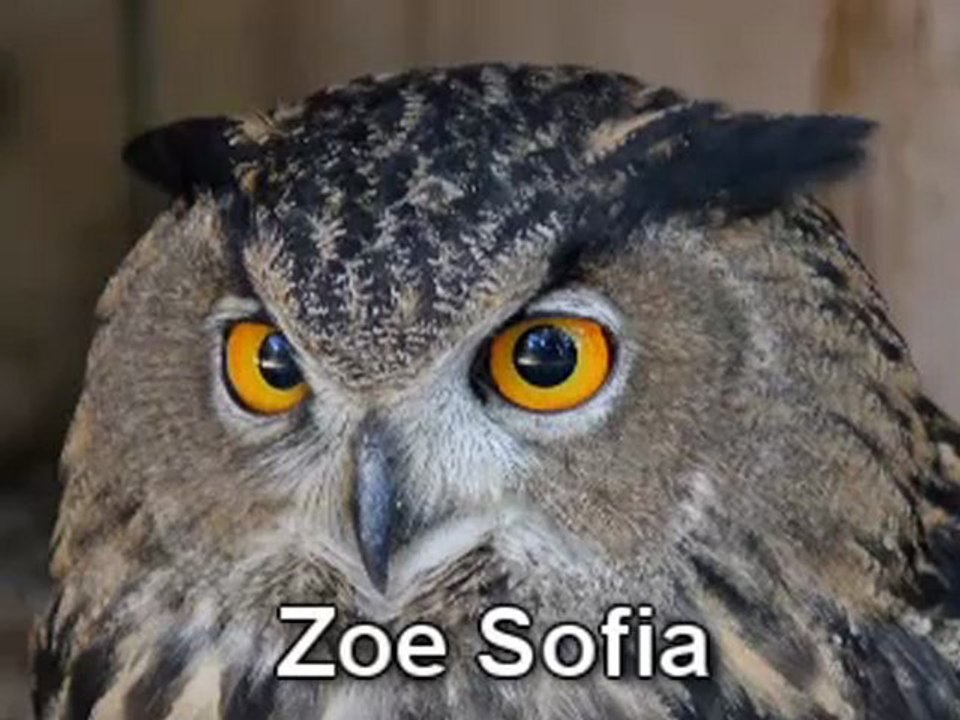 SağlıKlı Zayıflama Yöntemleri