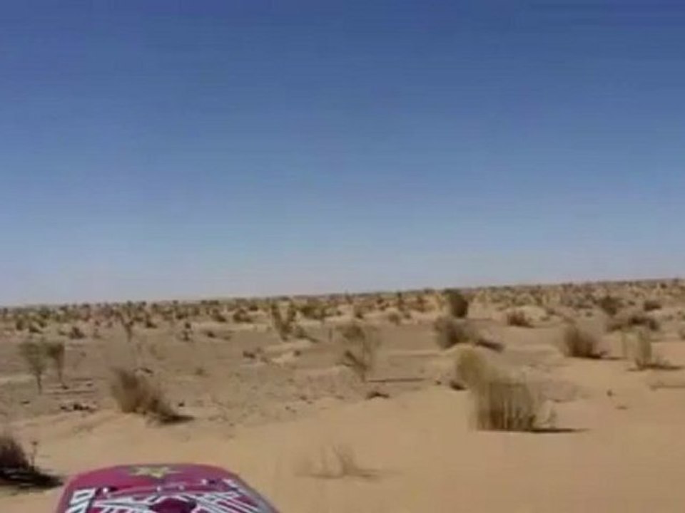 désert algéro-tuniso-libyen