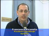 SICILIA TV (Favara) Sagra del Mandorlo. Bilancio