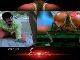Mass Maharaja Ravi Teja about EEGA - Pride of TFI
