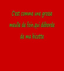 Choun - Ratisse-moi - Paroles