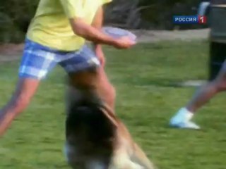 Хозяин, будь человеком! Закон для своры (2010)