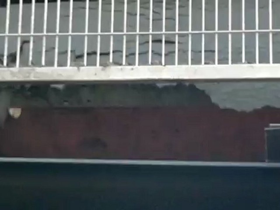 Sortie des boues en gateaux - Unité de traitement