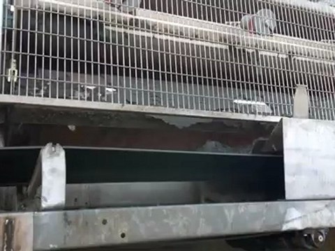 Sortie des boues en gateaux - Boues de process