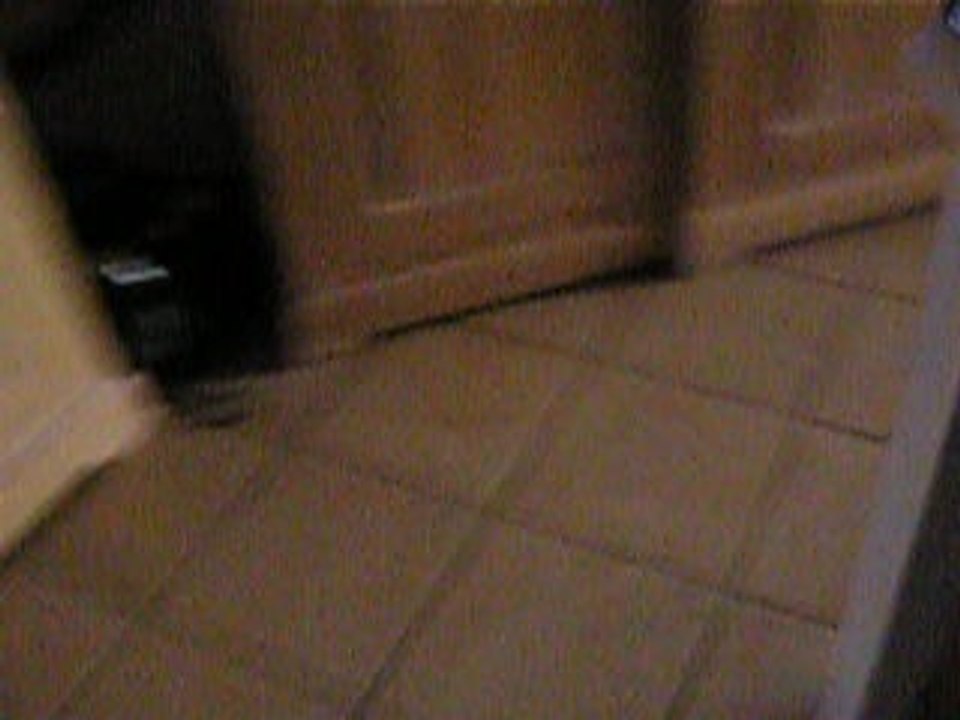 Quand maman fait la folle...