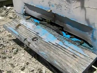 Eskil İlçesi Kaputaş Köyünde Arıcılık  4