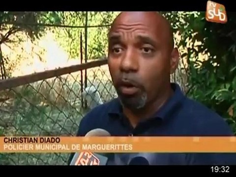 Un lama aveugle abandonné à Marguerittes