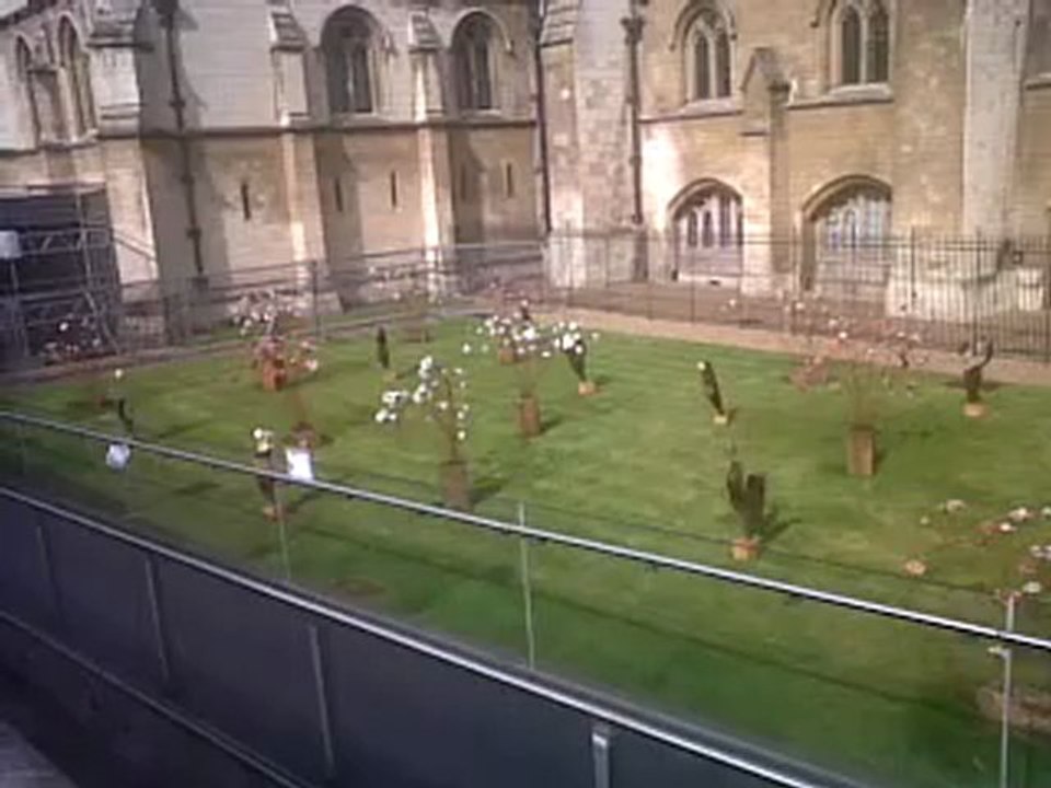 Oliver Cromwell Statue & House of Commons