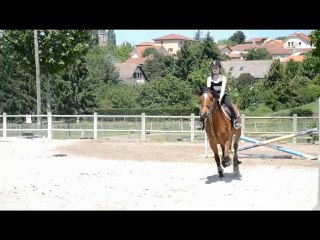 Mon premier montage vidéo, mes premiers cours avec Nidial, mon passage de galop 3. ♥