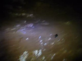 aven du cerisier 22 juillet 2012 (3)