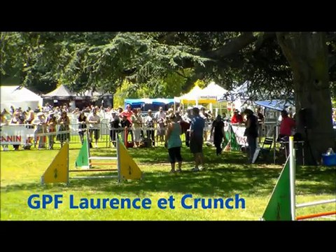Concours Agility cearb Dinard Arwenne et Crunch
