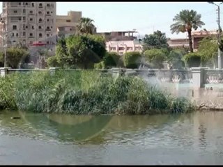 مطالبات بإزالة أكوام القمامة والأدخنة بالفيوم