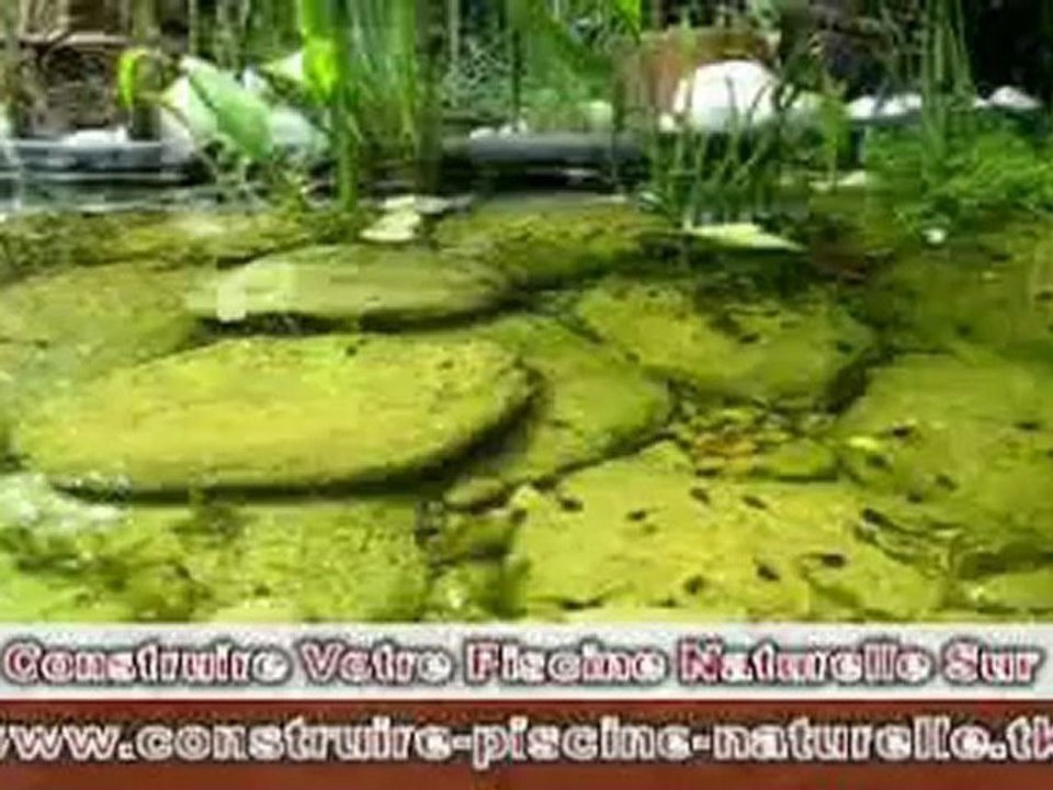 Notre Piscine Naturelle familiale