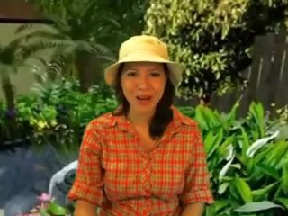 Heated Hutch Pet Hutch Review