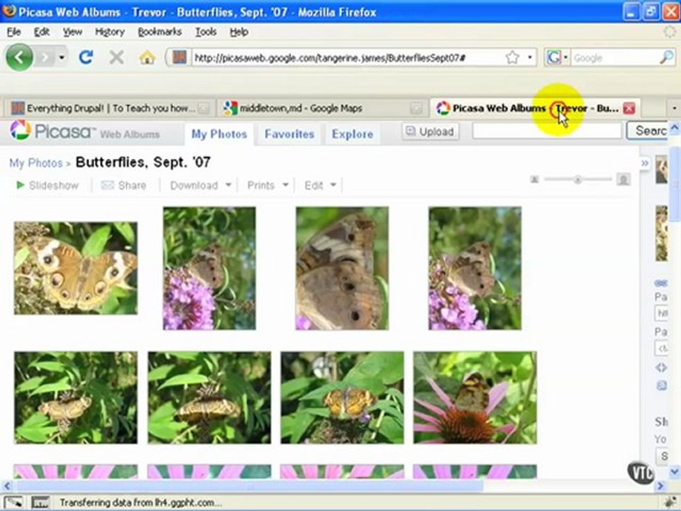 23 03. Embedding Web 2.0 Code pt. 1