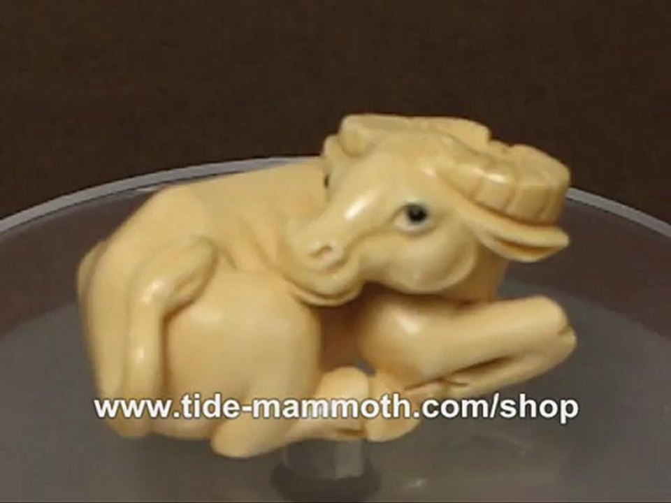 mammoth ivory netsuke Twelve Zodiac Animal OX N3154