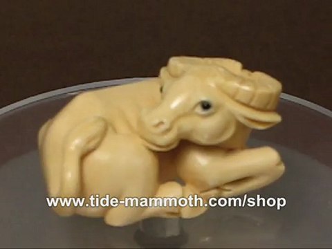 mammoth ivory netsuke Twelve Zodiac Animal OX N3154