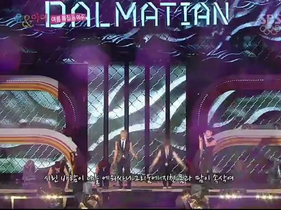 120723 You & I - Dalmatian Cut