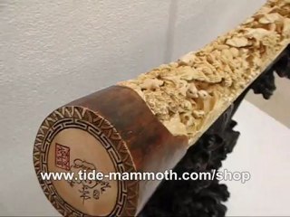 mammoth ivory tusk carving Ocean Aquarium 37444
