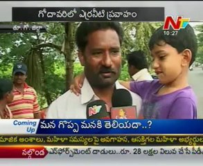 Pulasa fish - Only Godavari special Costly fish-a story