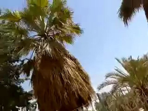 Syria فري برس البوكمال آثار الدمار والقصف على الجامع الكبير والسوق التجاري 22 7 2012 ج4 ALbokamal