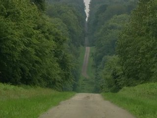 Des rêves de bisons au coeur du Pays de Bray (1/5)