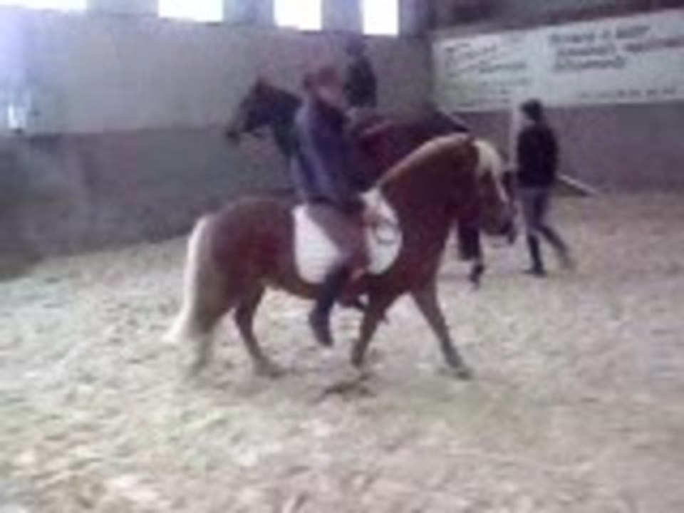 Video-0003
