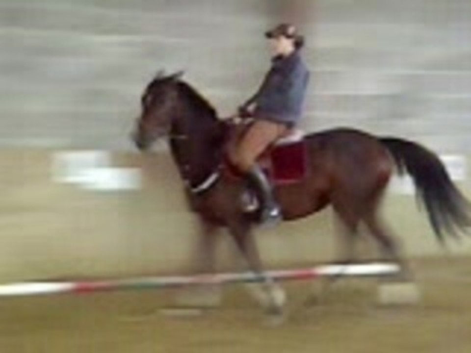 Video-0004