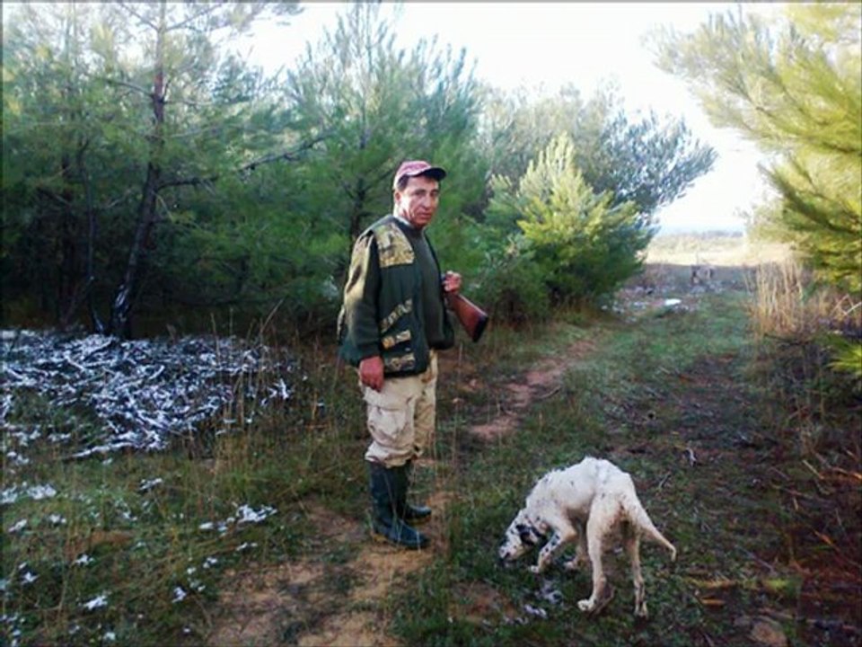http://www.barkerciftligi.com - Köpekler