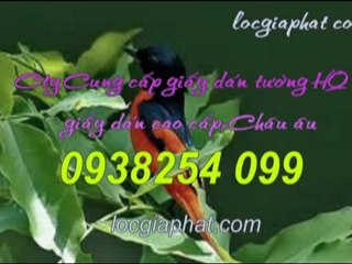 Số điện thoại giấy dán tường quận 2 call 0938 254 099