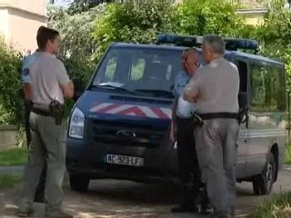 Sarthe : un lionceau dans la campagne