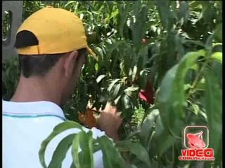 Napoli - Le ''Pesche della legalità'' di Chiaiano (25.07.12)