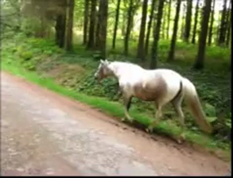 Urane le 31 mai2