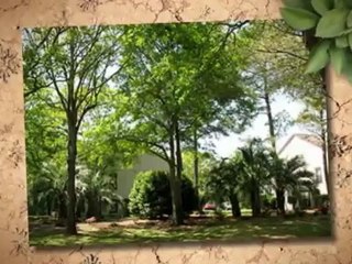 H & H Tree Service Inc. (512) 734-2961