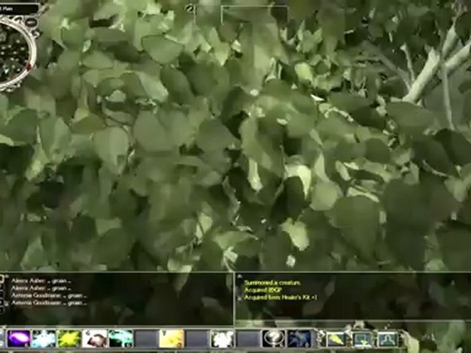 [S2][P2] Neverwinter Nights 2