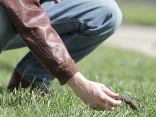 WRONG - Bande annonce VOST