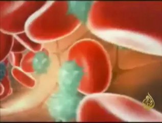 إقناع الجهاز المناعي بتقبل الأعضاء المزروعة