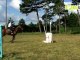 Cheval Equitation préparation jeux olympiques épisode 12