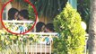 Mila Kunis And Ashton Kutcher Caught In PDA Act! - Hollywood Love