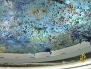 توصيات مجلس حقوق الانسان الخاصة بفلسطين