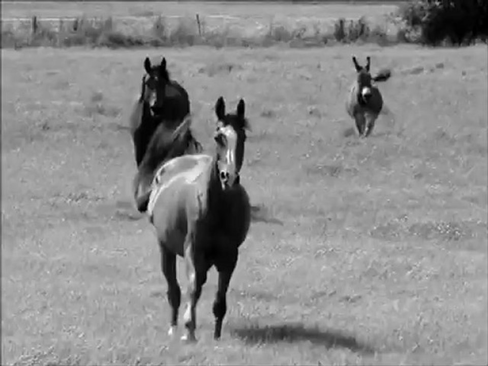 Little spot of heaven♥