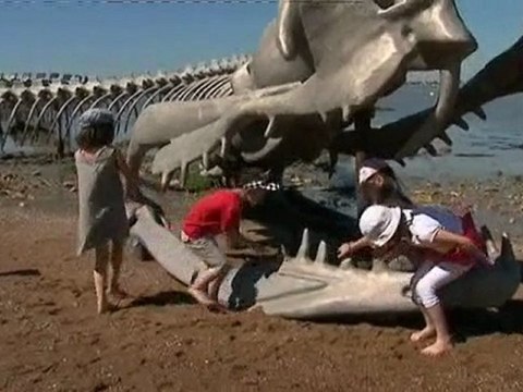Le serpent de mer de Saint-Brévin-les-Pins (44)