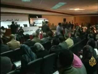 قضية لجنة صياغة الدستور المصري