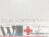 Hammer Web Solutions: WordPress   AdWords