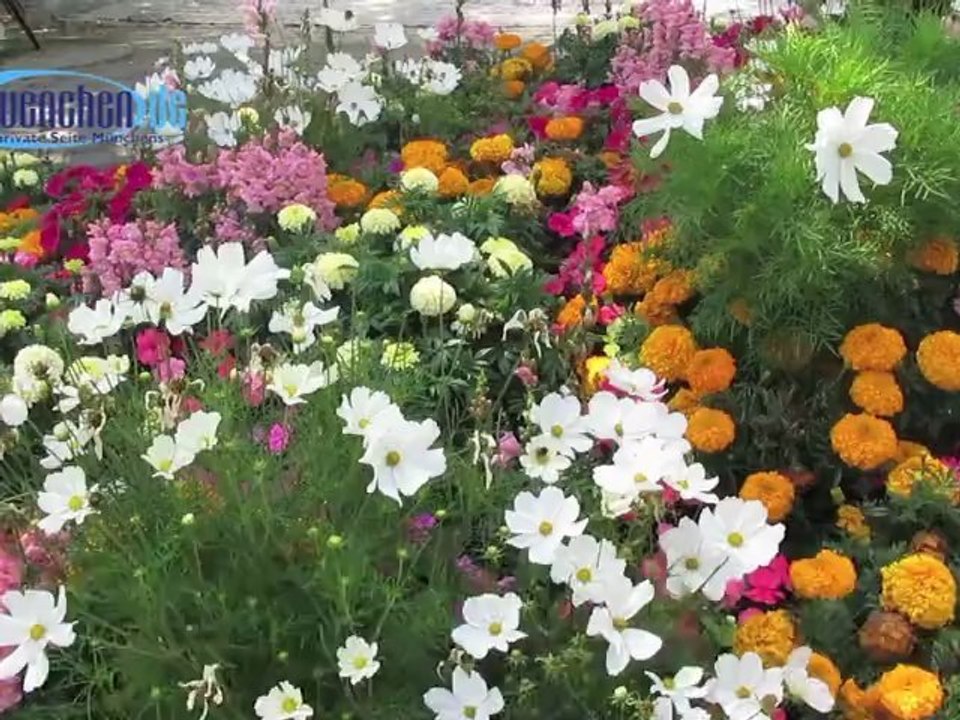 Brunnen Sendlinger Tor Platz - Sommer 2012