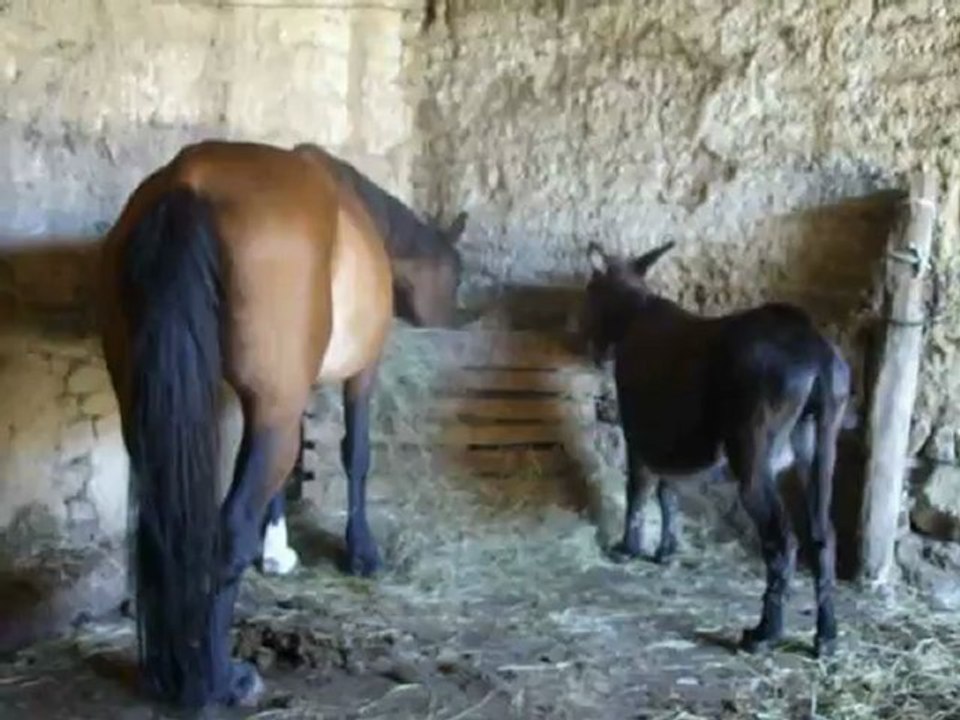 mimi&cie23.7.2012 001