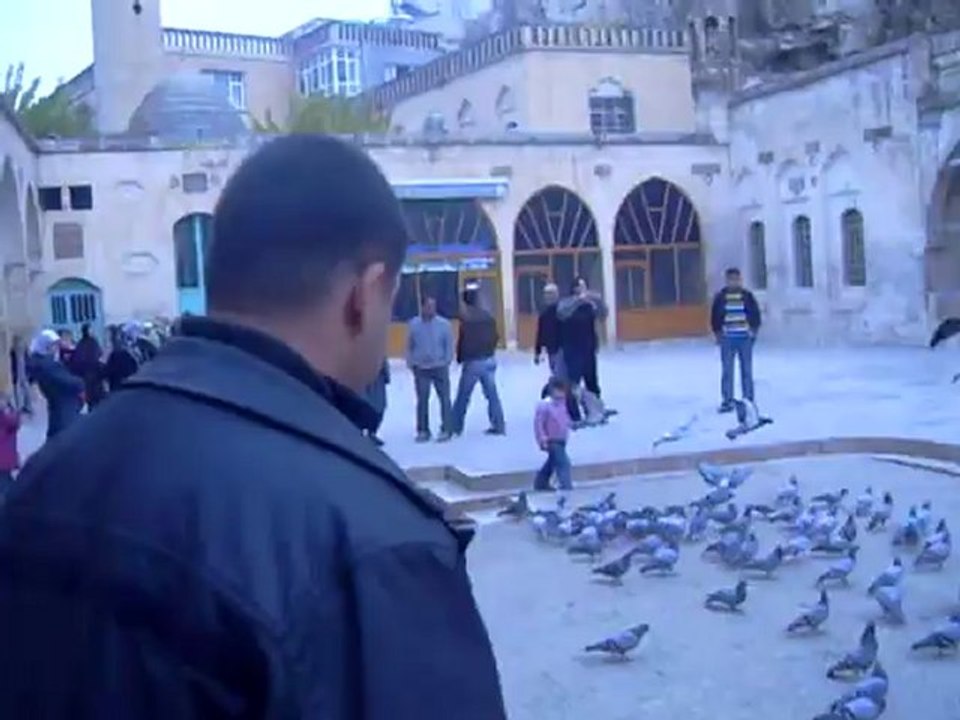 gökhan 026