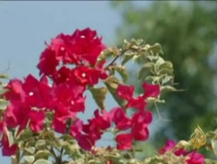 الزعيمة الوطنية في ميانمار أون سان سوتشي